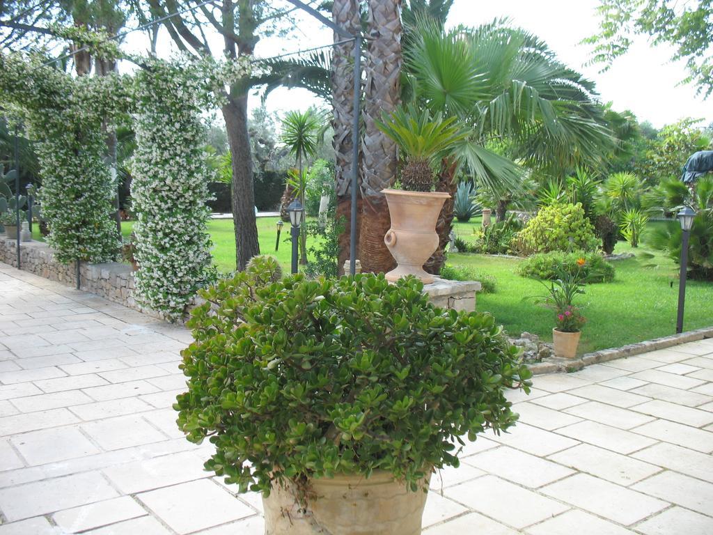 Villa Cecilia 马蒂诺 客房 照片