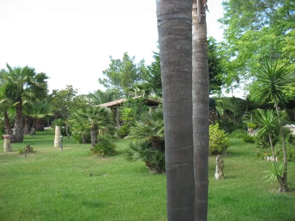 Villa Cecilia 马蒂诺 外观 照片